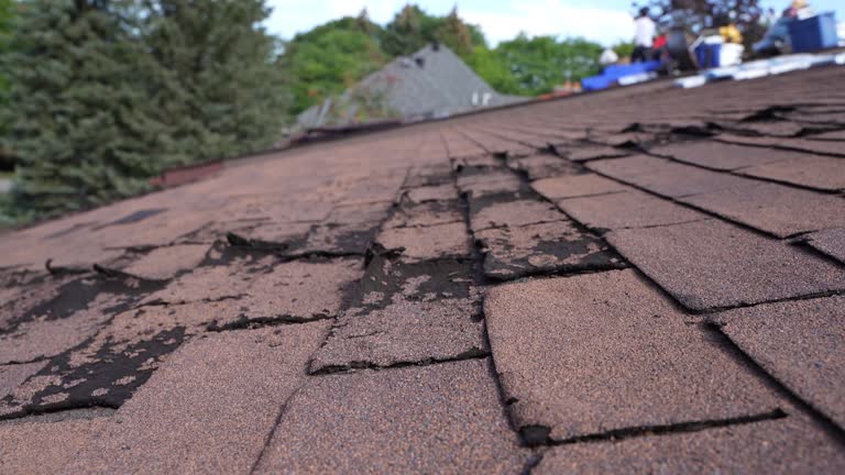 Best Roof Maintenance and Cleaning  in Dixon, IL