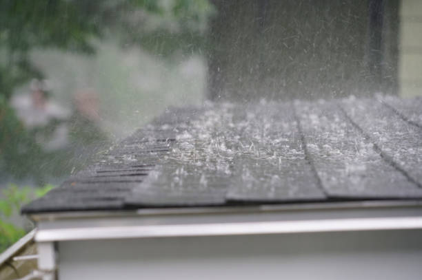Best Wood Shake Roofing  in Dixon, IL
