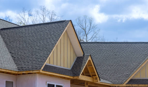 Best 4 Ply Roofing  in Dixon, IL